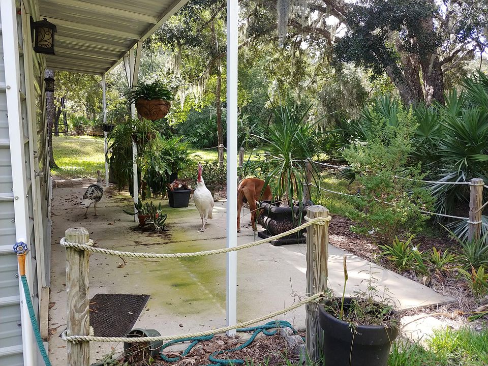 Back patio