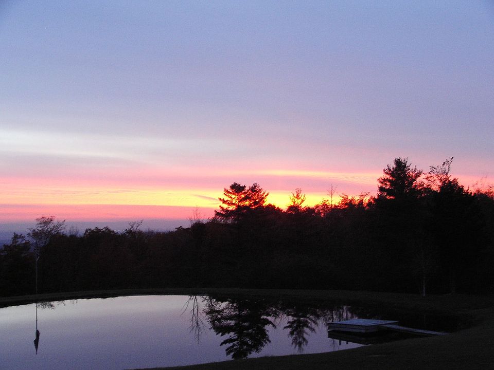Pond View