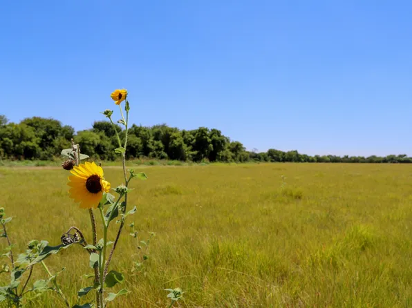 New Windsor Pkwy, Mc Gregor, TX 76657