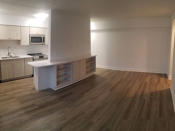 Living room and kitchen