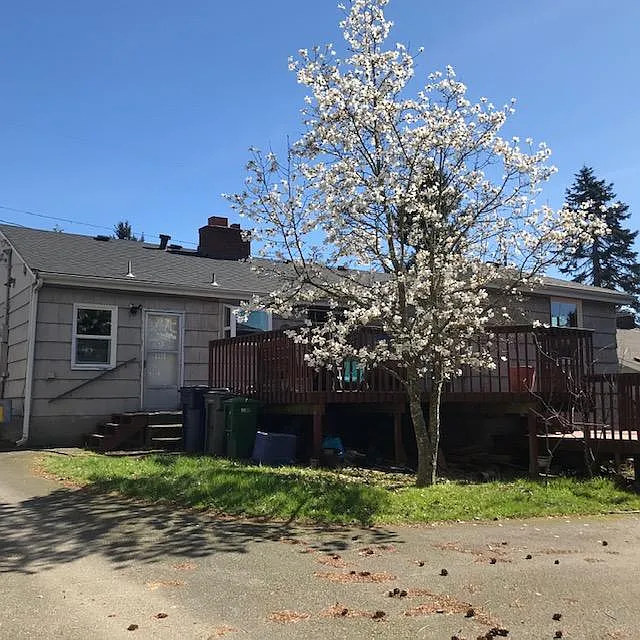 4 bed, 7100 sqft, $1,350 — Photo 3