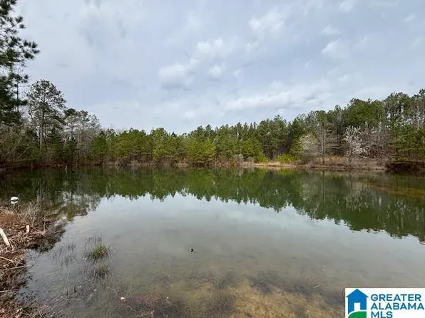 10994 Highway 61 #0, Wilsonville, AL 35186