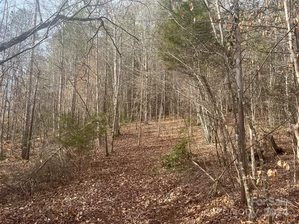 0 Coxe Rd #4, Tryon, NC 28782