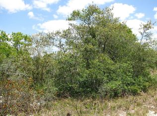 2754 W Lynch Rd, Avon Park, FL 33825