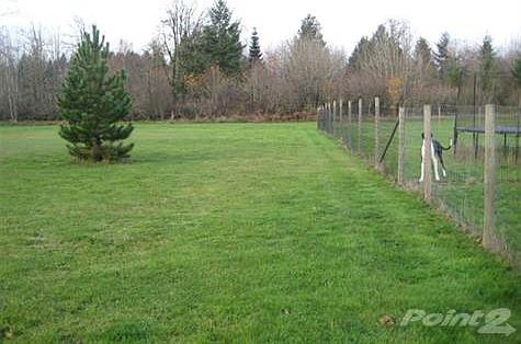 Large Fenced Yard