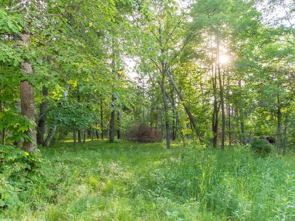 Tbd Violet Ln, Breezy Pt, MN 56472