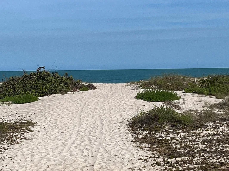 Turtle Cove Ln — Photo 23