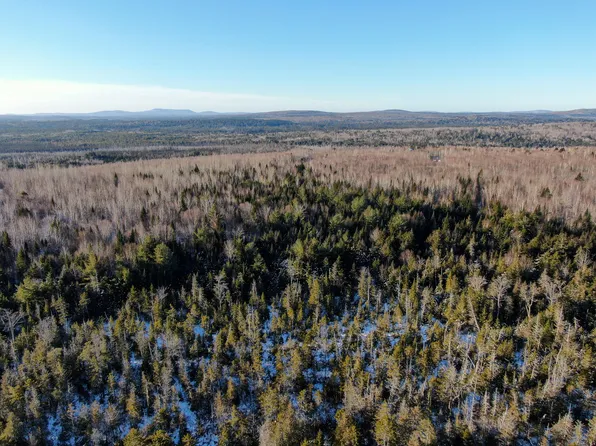 Lot 15 Upper Dobsis Road, Lakeville, ME 04487