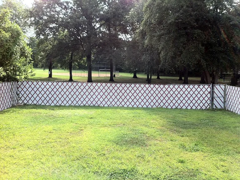back yard and park