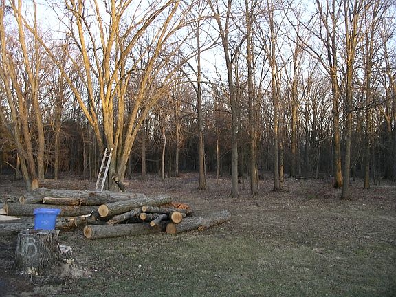 WOODED COUNTRY SETTING!