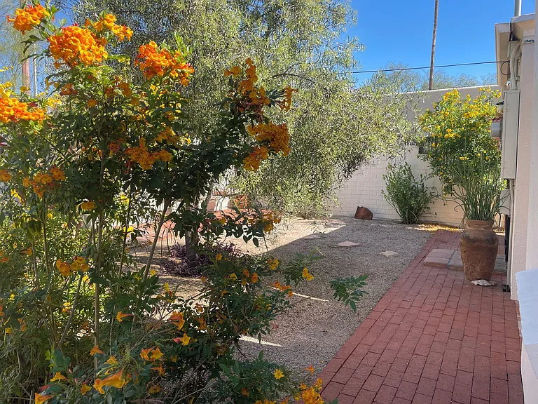 Casita private courtyard plantings