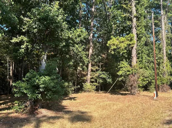 606162 Grand Pine Loop, Livingston, TX 77351