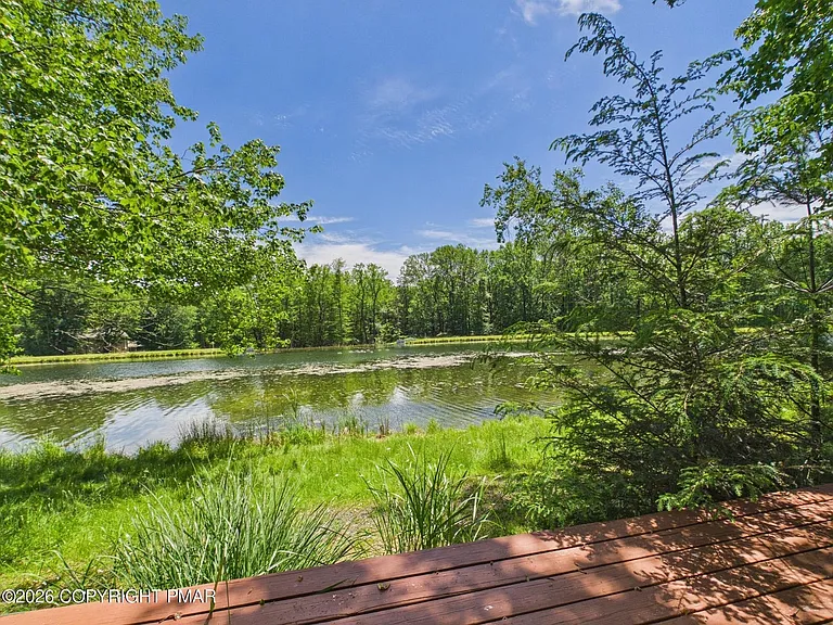 4167 Forest Dr — Photo 3