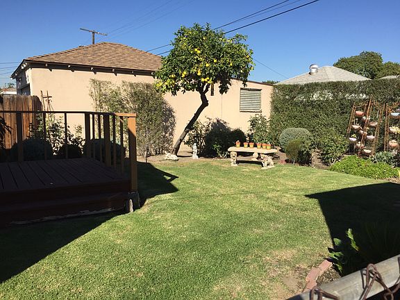 Backyard showing grapefruit tree and bench