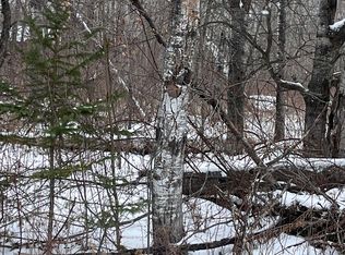 Hill Ave, Townsend, WI 54175