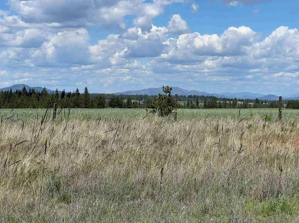 N Wood Rd, Reardan, WA 99029