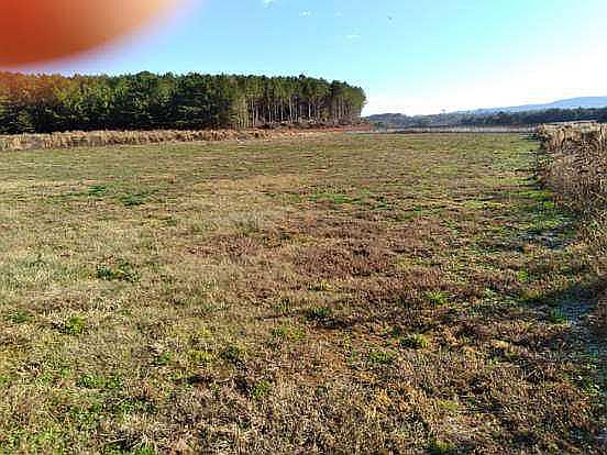 View of property