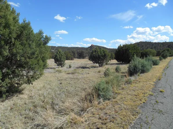 277 Paseo De Aguayo #3, Alto, NM 88312