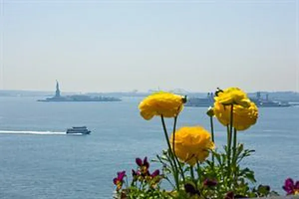 Sold by Douglas Elliman | media 8