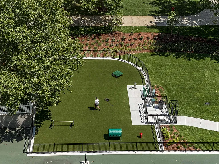 Dog Park Aerial View