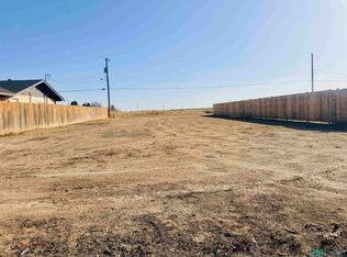 1100 Lusk St, Roswell, NM 88203