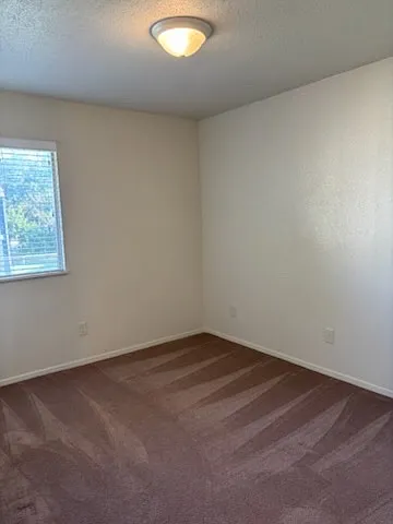 808 Natalie St #D — Photo 4