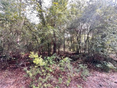 9830 W Watermelon Ln, Crystal River, FL, 34428