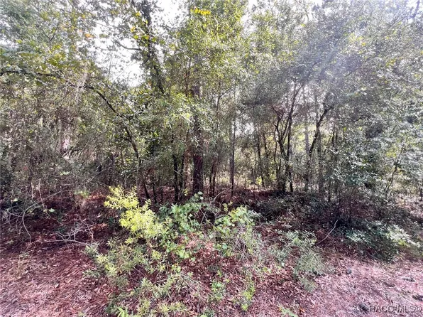 9830 W Watermelon Ln, Crystal River, FL 34428