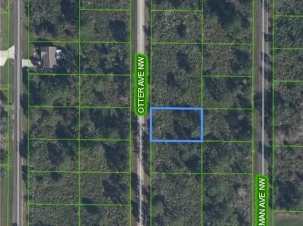 234 Otter Ave NW, Lake Placid, FL 33852