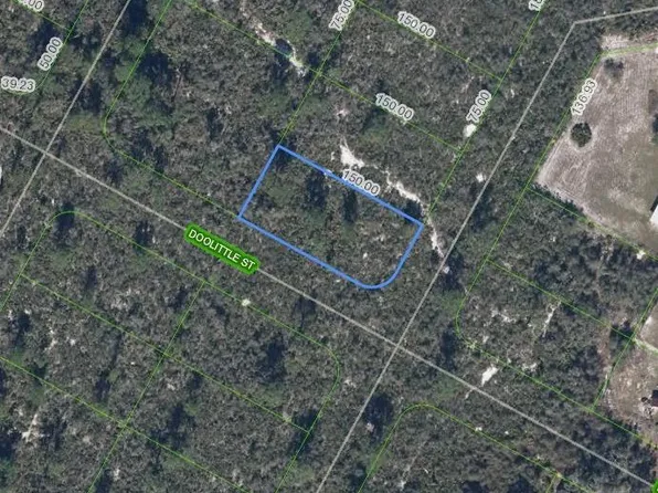 1424 Doolittle ST, LAKE PLACID, FL 33852