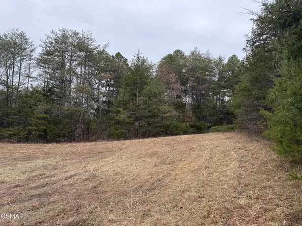 0 Allen Chapel Rd, Parrottsville, TN 37843