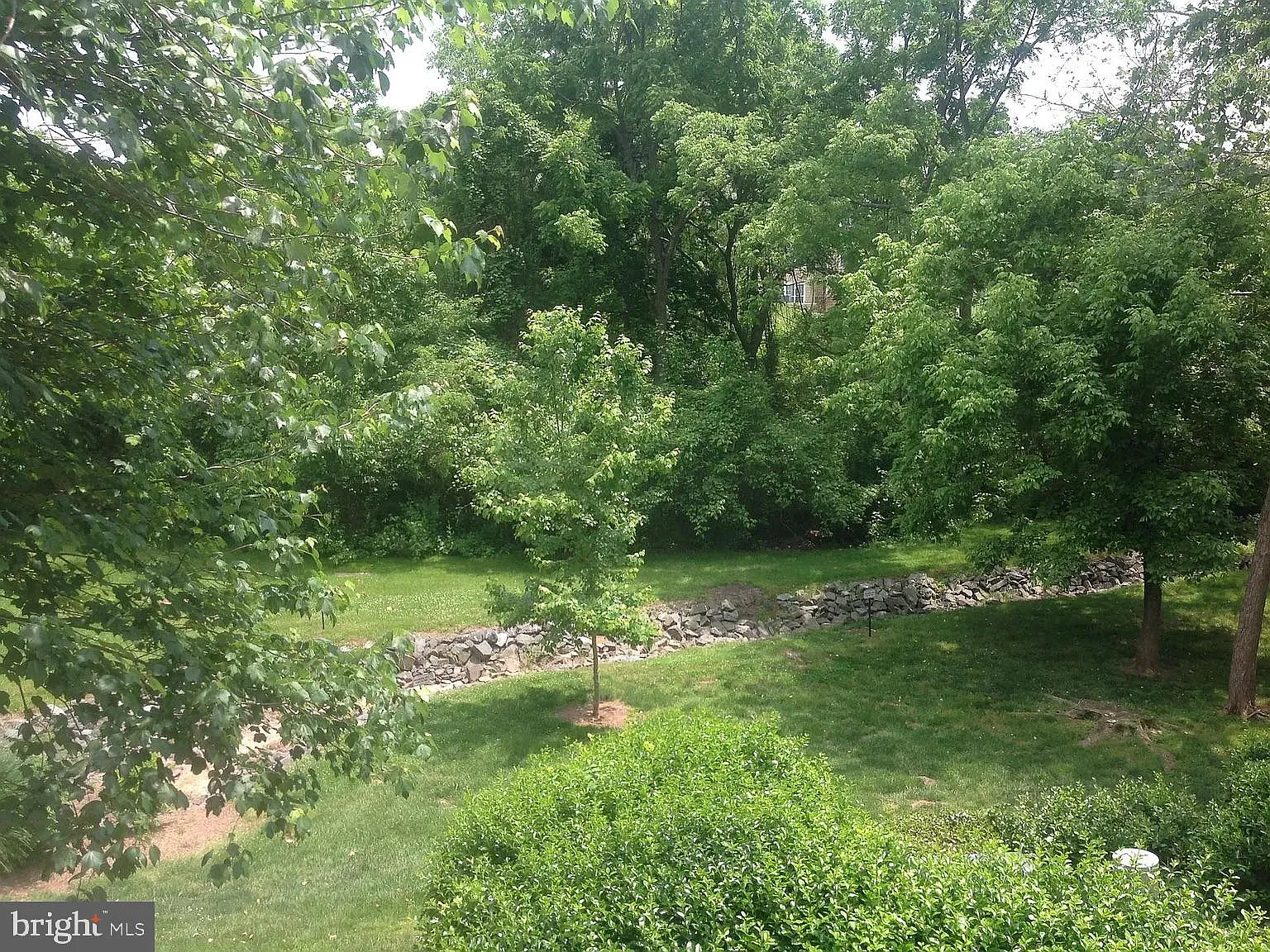 14321 Climbing Rose Way — Photo 1