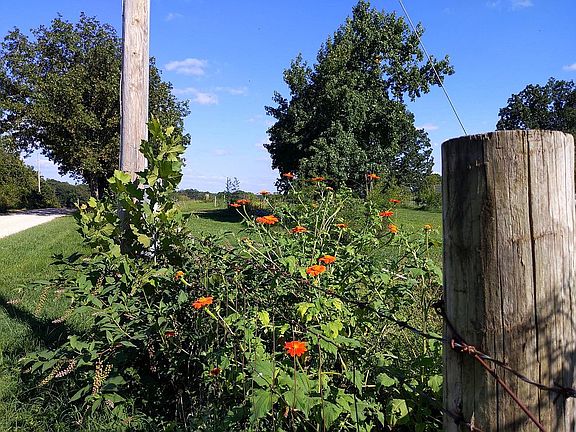 3rd image of 880 County Road 6420