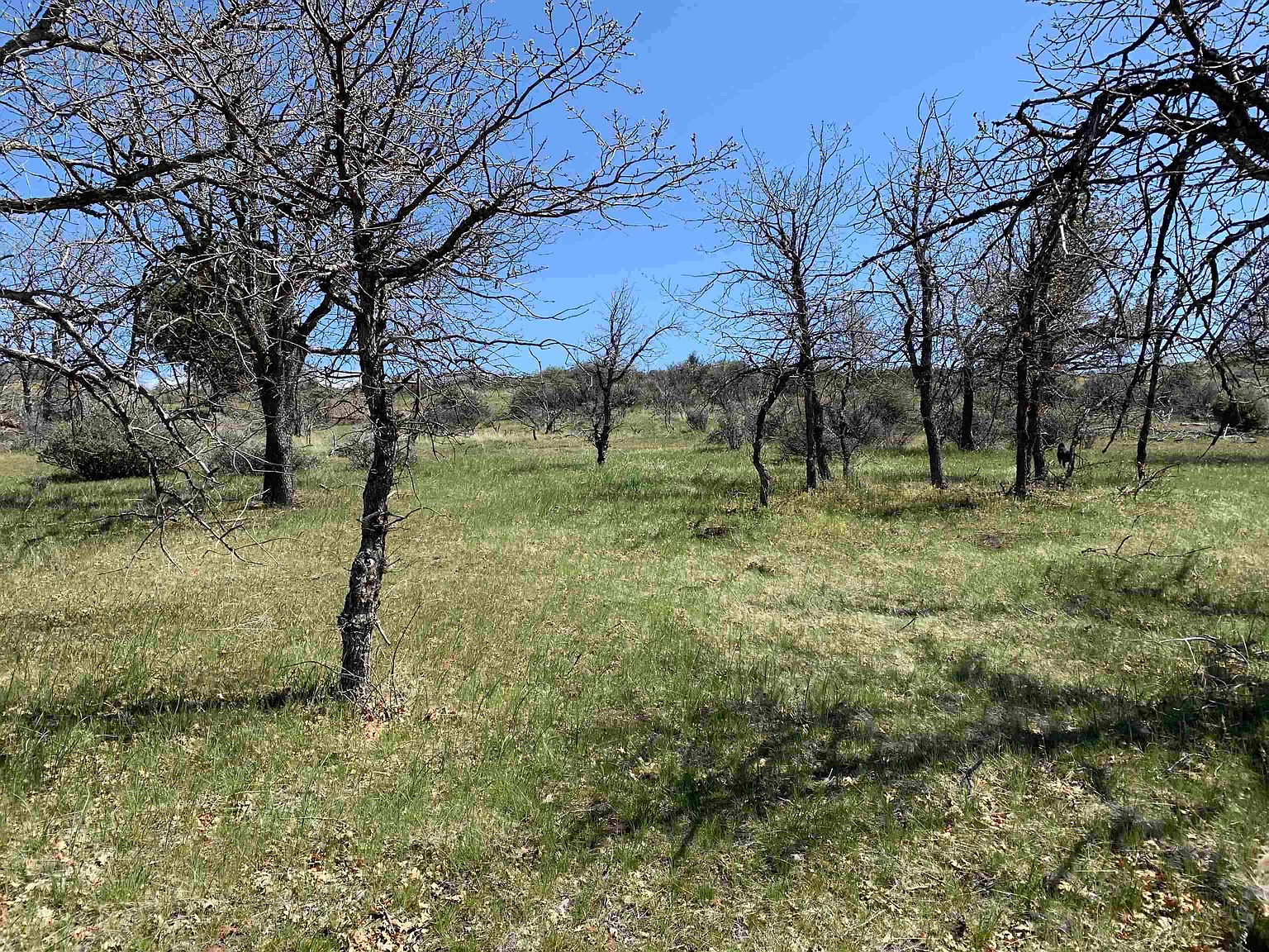 Whidgeon Pl UNIT 3, Hornbrook, CA 96044 MLS 20230813 Zillow