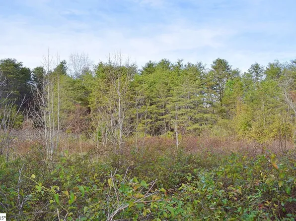 0 Wall St Lot B, Campobello, SC 29322