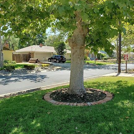 Front of house to see street. Beautiful shade tree