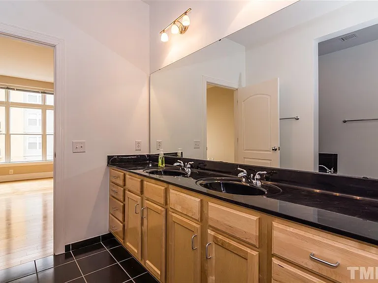 317 W Morgan St #308 — Photo 12