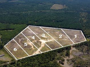 LOT 5 State Highway 790, Ackerman, MS 39735