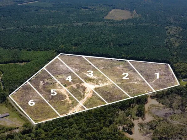 LOT 5 State Highway 790, Ackerman, MS 39735