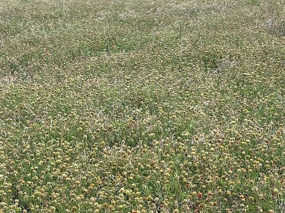 5th image of 6 County Road 3565