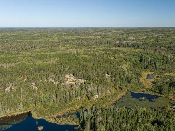 Forest Rd #200, Orr, MN 55771