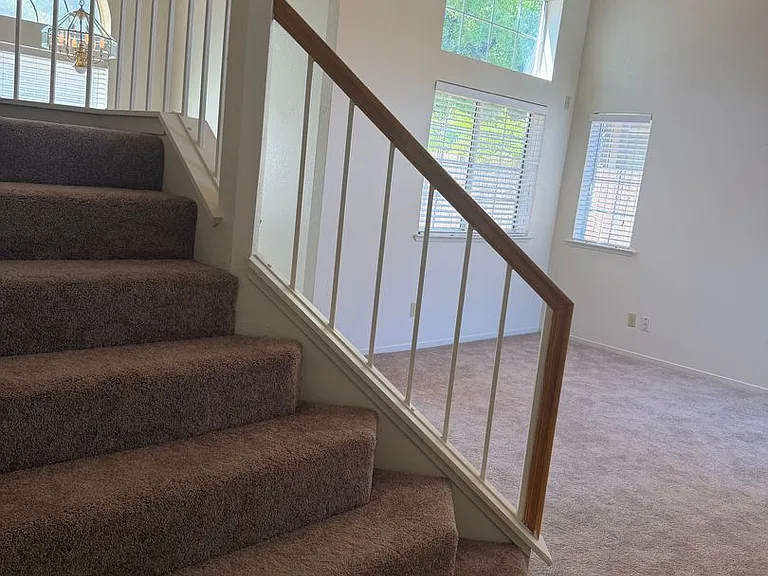 8317 Bramble Bush Cir — Photo 18