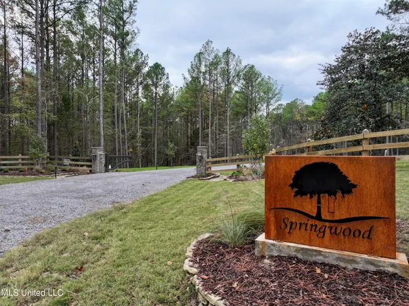 Springwood Trl Lot 8, Flora, MS 39071