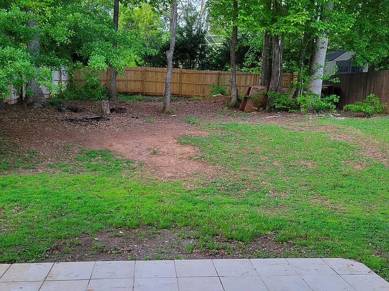 745 Terrace Creek Dr — Photo 5