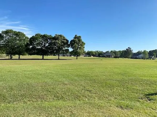 429 N Lake Cir, Manning, SC 29102