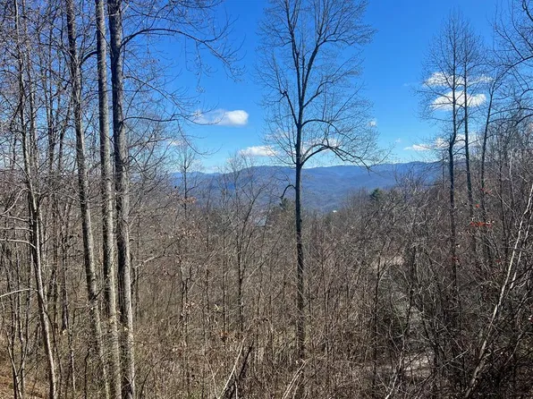 0 Ginseng Rdg, Almond, NC 28702