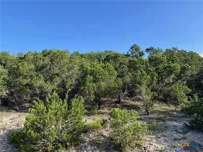 280 Scenic Hills Dr, Canyon Lake, TX, 78133