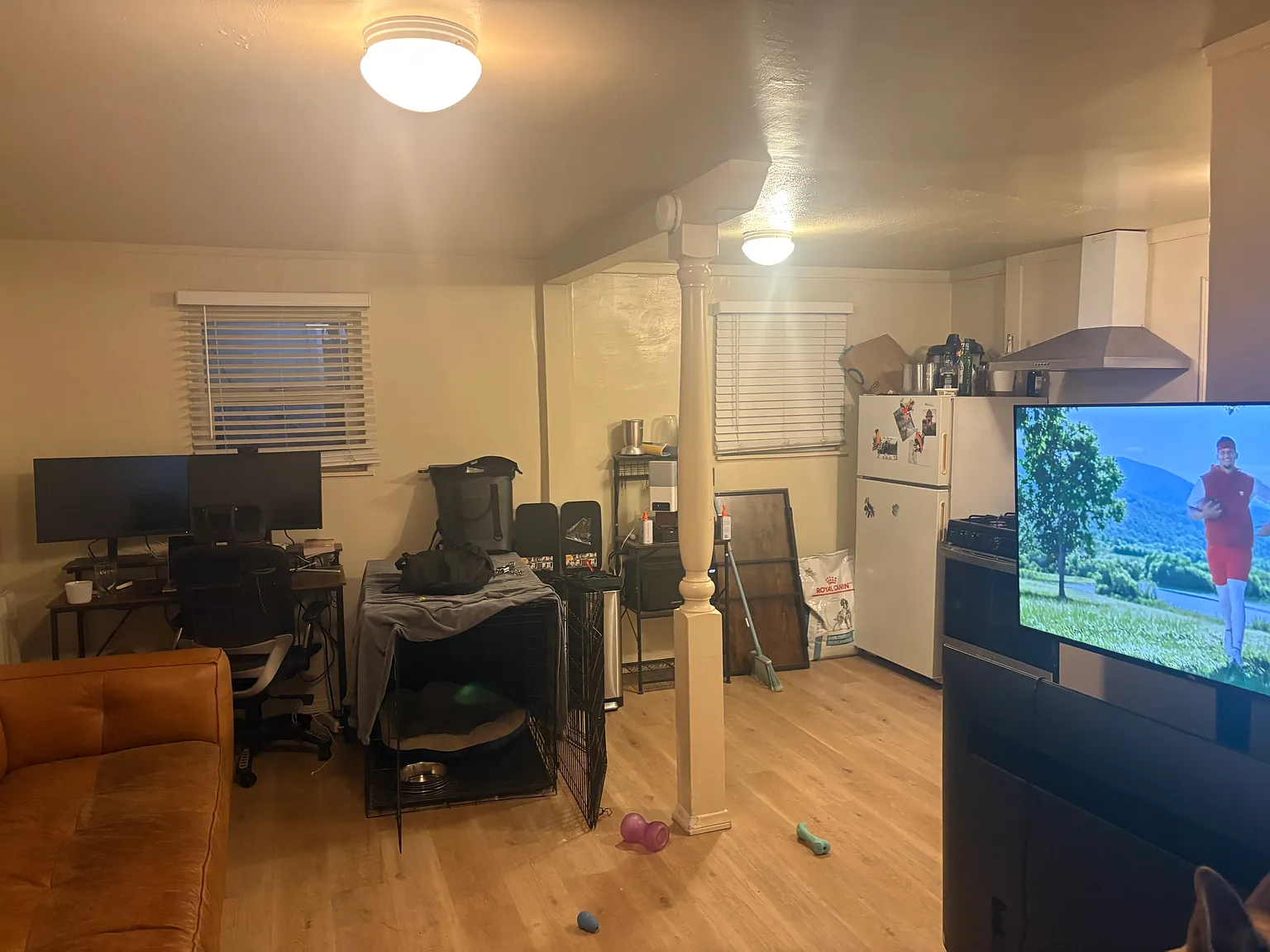 Studio, 450 sqft, $2,495 — Photo 3