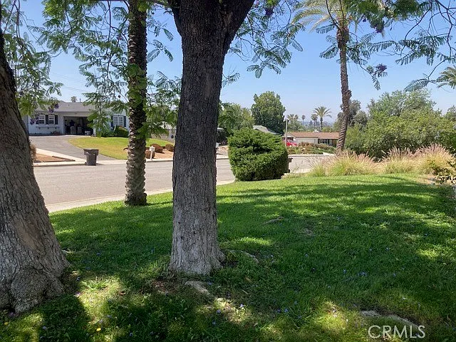 515 Alta Mesa Dr — Photo 2