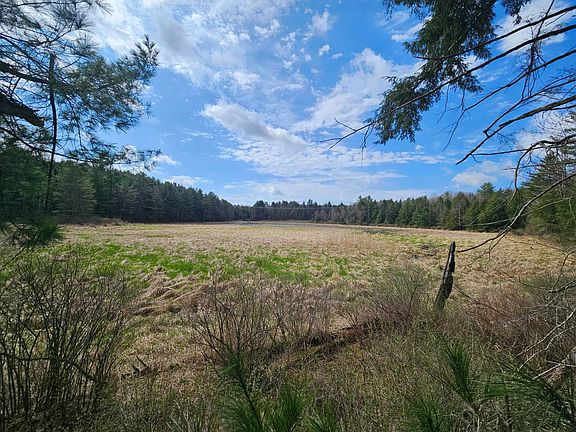 3rd image of 0WP Furman Rd